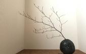 Туры в отель Sayama Aesthetics School