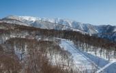 Туры в отель Tanuki Nozawa