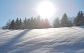 Туры в отель Auberge Ninguruforet