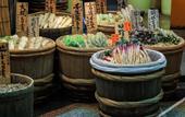Туры в отель Villa Front Kyoto Seimei