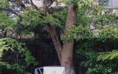 Туры в отель Villa Front Kyoto Seimei