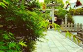 Туры в отель Villa Front Kyoto Seimei