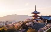 Туры в отель Villa Front Kyoto Seimei