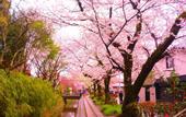 Туры в отель Villa Front Kyoto Seimei