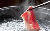 Туры в отель Unohana Onsen Hagien
