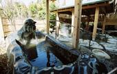 Туры в отель Unohana Onsen Hagien
