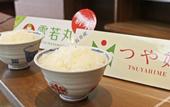 Туры в отель Unohana Onsen Hagien