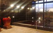 Туры в отель HOTEL BAYGULLS