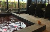 Туры в отель HOTEL BAYGULLS