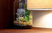 Туры в отель LiB PLUS Villa NAGO