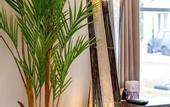 Туры в отель LiB PLUS Villa NAGO