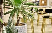 Туры в отель The Root2 Hotel