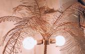Туры в отель The Root2 Hotel