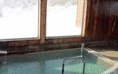Туры в отель Niseko Goshiki Onsen Ryokan