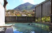 Туры в отель Niseko Goshiki Onsen Ryokan