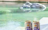 Туры в отель Niseko Goshiki Onsen Ryokan