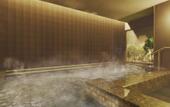 Туры в отель HOTEL ELCIENT OSAKA UMEDA