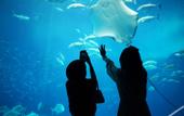 Туры в отель Hotel Cocktail Stay Naha