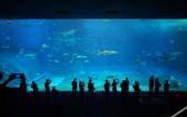 Туры в отель Hotel Cocktail Stay Naha