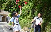 Туры в отель Hotel Cocktail Stay Naha