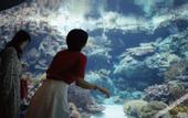 Туры в отель Hotel Cocktail Stay Naha
