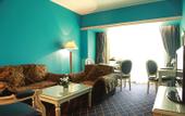 Туры в отель New Moscow Hotel