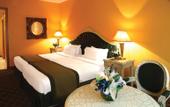 Туры в отель New Moscow Hotel