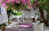 Туры в отель Apollon Boutique Hotel