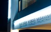 Туры в отель BLUE STEAK WONDER NAGAHAMA
