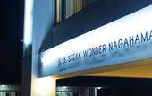 Туры в отель BLUE STEAK WONDER NAGAHAMA