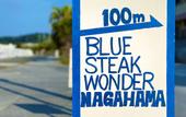 Туры в отель BLUE STEAK WONDER NAGAHAMA