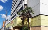 Туры в отель Hotel Sun