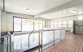 Туры в отель Forest Inn Gobo