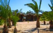 Туры в отель Moses Bay