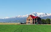 Туры в отель Shooting Star the Bed & Breakfast