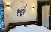 Туры в отель Shooting Star the Bed & Breakfast