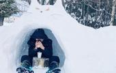 Туры в отель Shooting Star the Bed & Breakfast