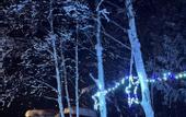 Туры в отель Shooting Star the Bed & Breakfast