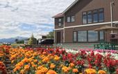 Туры в отель Shooting Star the Bed & Breakfast