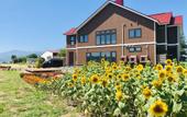 Туры в отель Shooting Star the Bed & Breakfast