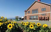 Туры в отель Shooting Star the Bed & Breakfast