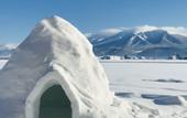 Туры в отель Shooting Star the Bed & Breakfast