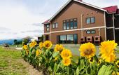 Туры в отель Shooting Star the Bed & Breakfast