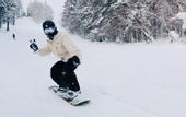 Туры в отель Shooting Star the Bed & Breakfast