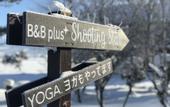Туры в отель Shooting Star the Bed & Breakfast