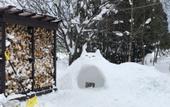 Туры в отель Shooting Star the Bed & Breakfast
