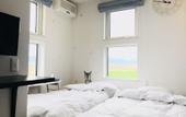Туры в отель Shooting Star the Bed & Breakfast