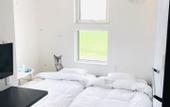Туры в отель Shooting Star the Bed & Breakfast