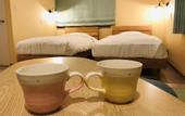 Туры в отель Shooting Star the Bed & Breakfast