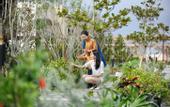 Туры в отель HOSHINOYA Okinawa